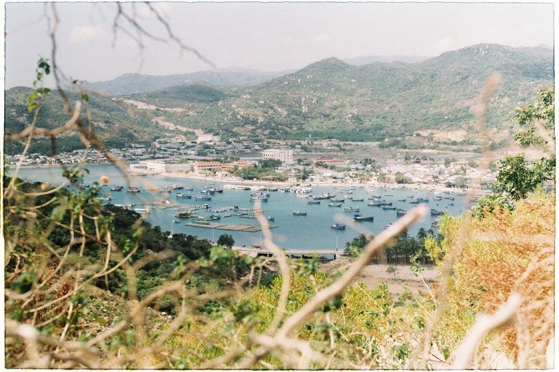 Ảnh slide minh họa 5